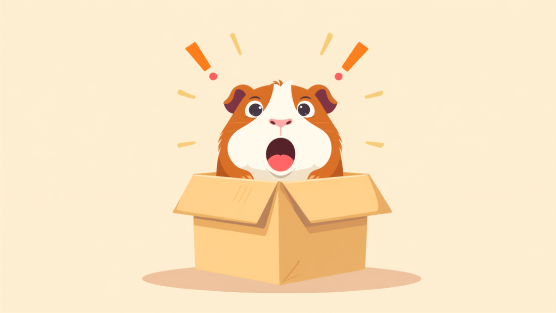 Cartoon illustration of a surprised guinea pig popping out of a cardboard cage box, representing 7 surprising things new guinea pig owners should know