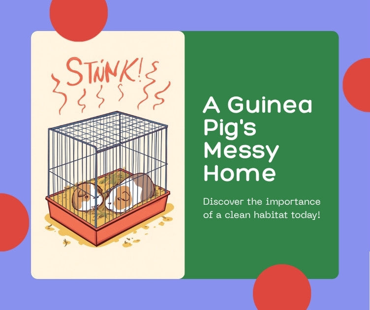 Cartoon illustration of a messy, smelly traditional guinea pig cage